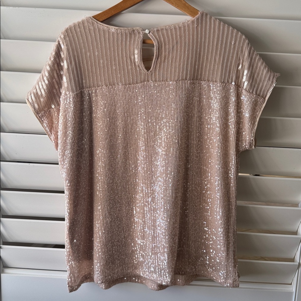 Cable & Gauge Shimmering Beige Sequin Blouse - Picture 4 of 4